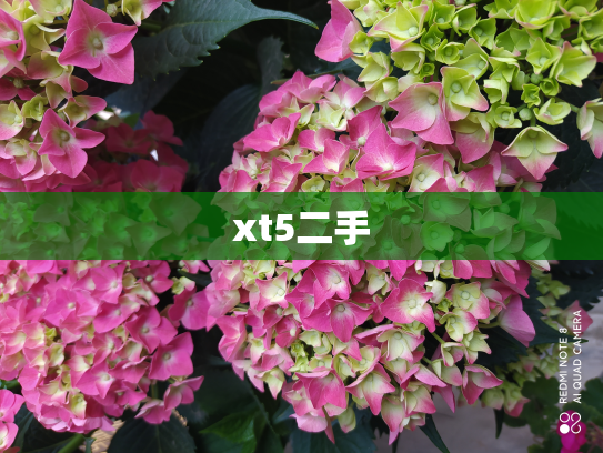 xt5二手