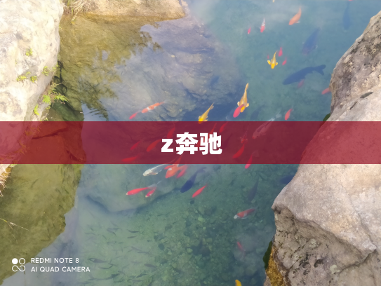 z奔驰