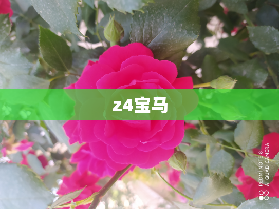 z4宝马