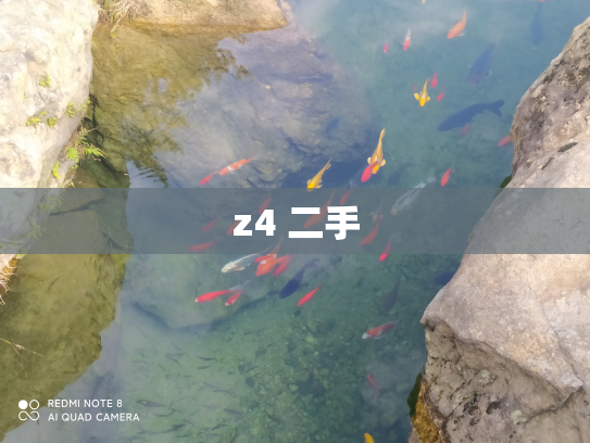z4 二手