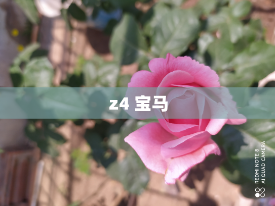 z4 宝马